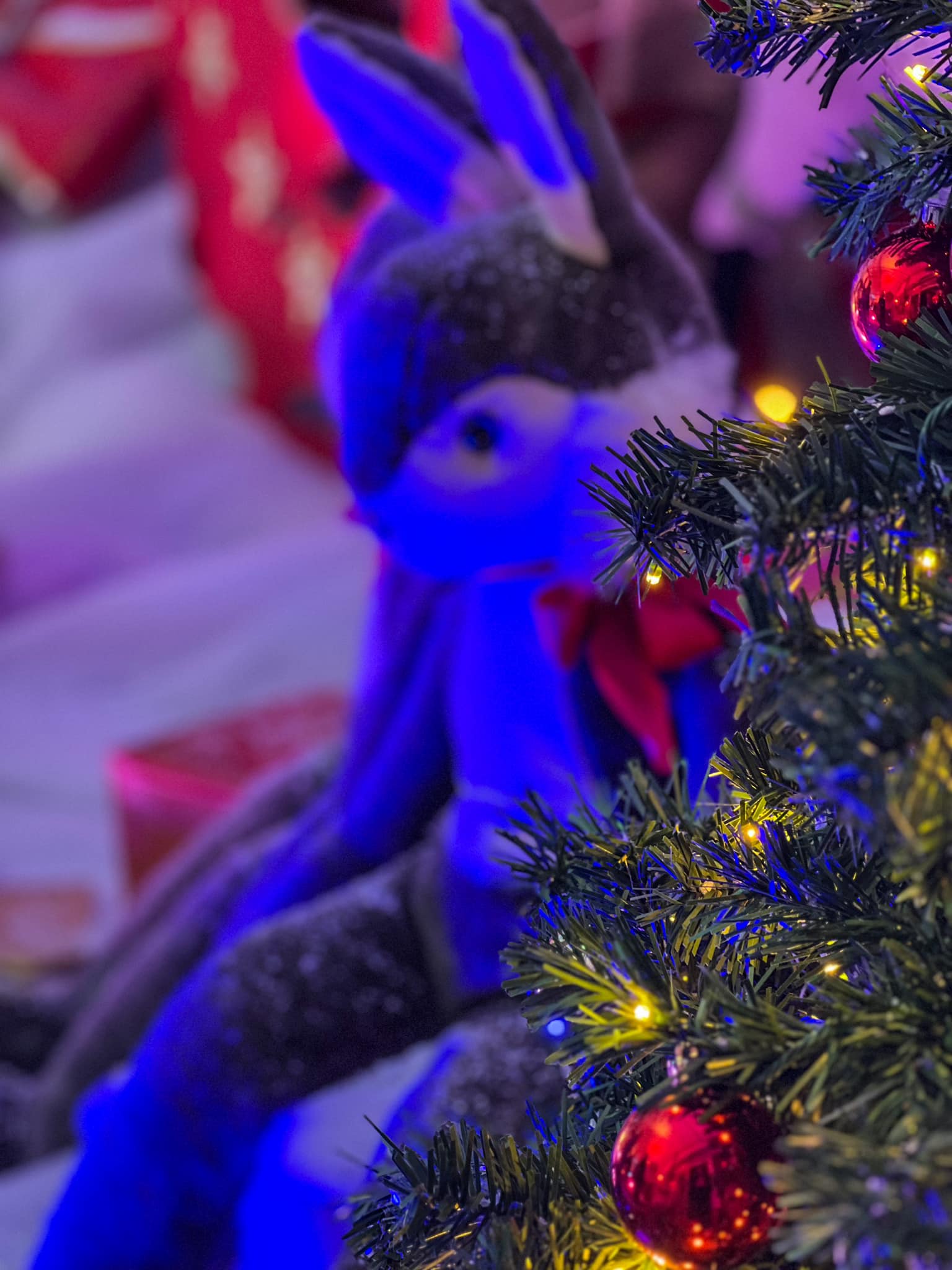 Magie noël Vannes