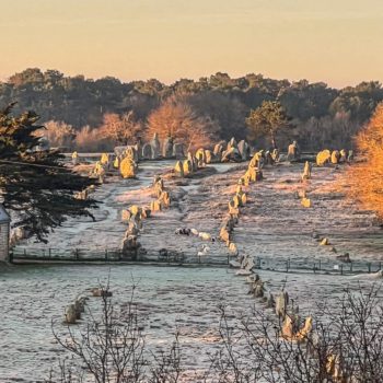 menhirs alignements carnac