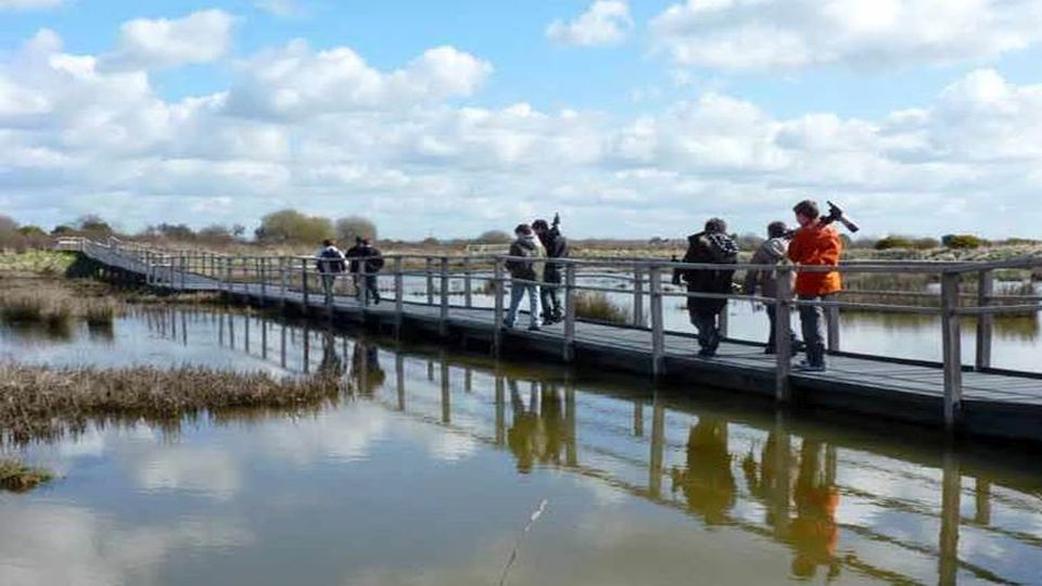 Marais de Séné  RESERVES NATURELLES DE FRANCE