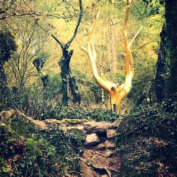 Forêt de de Brocéliande