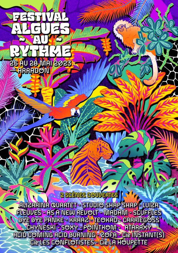 festival algues au rythme