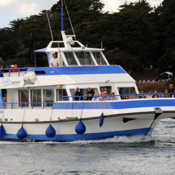 Croisière golfe du Morbihan