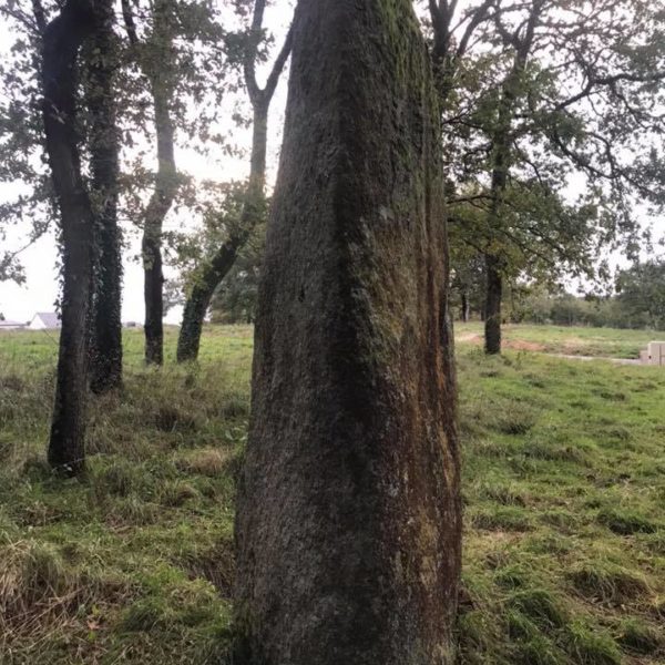 Menhir Vannes