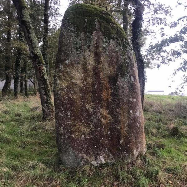 Menhir Kerbiquette Vannes