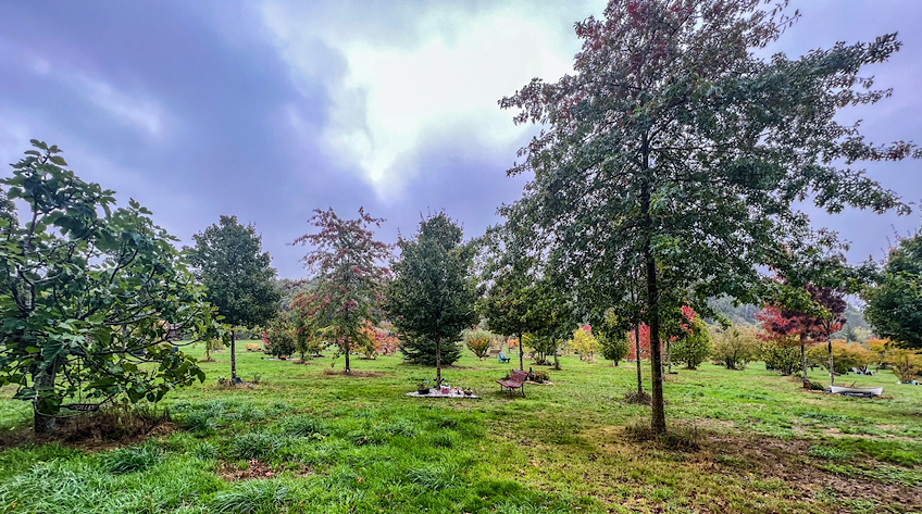 jardin des mémoires pluneret accord litige