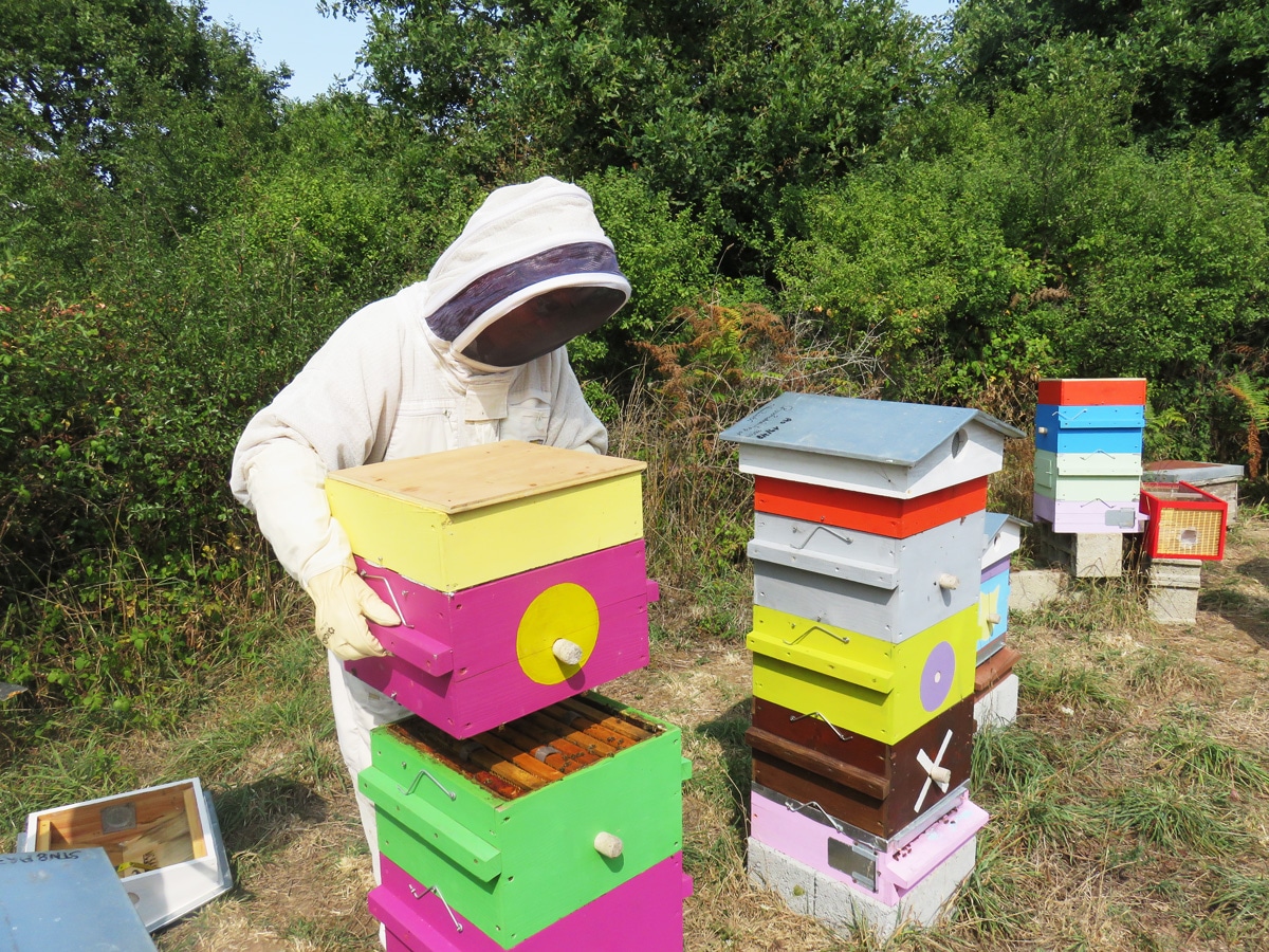 Christian Morio apiculteur Larmor Baden Le Rucher des Agapanthes 