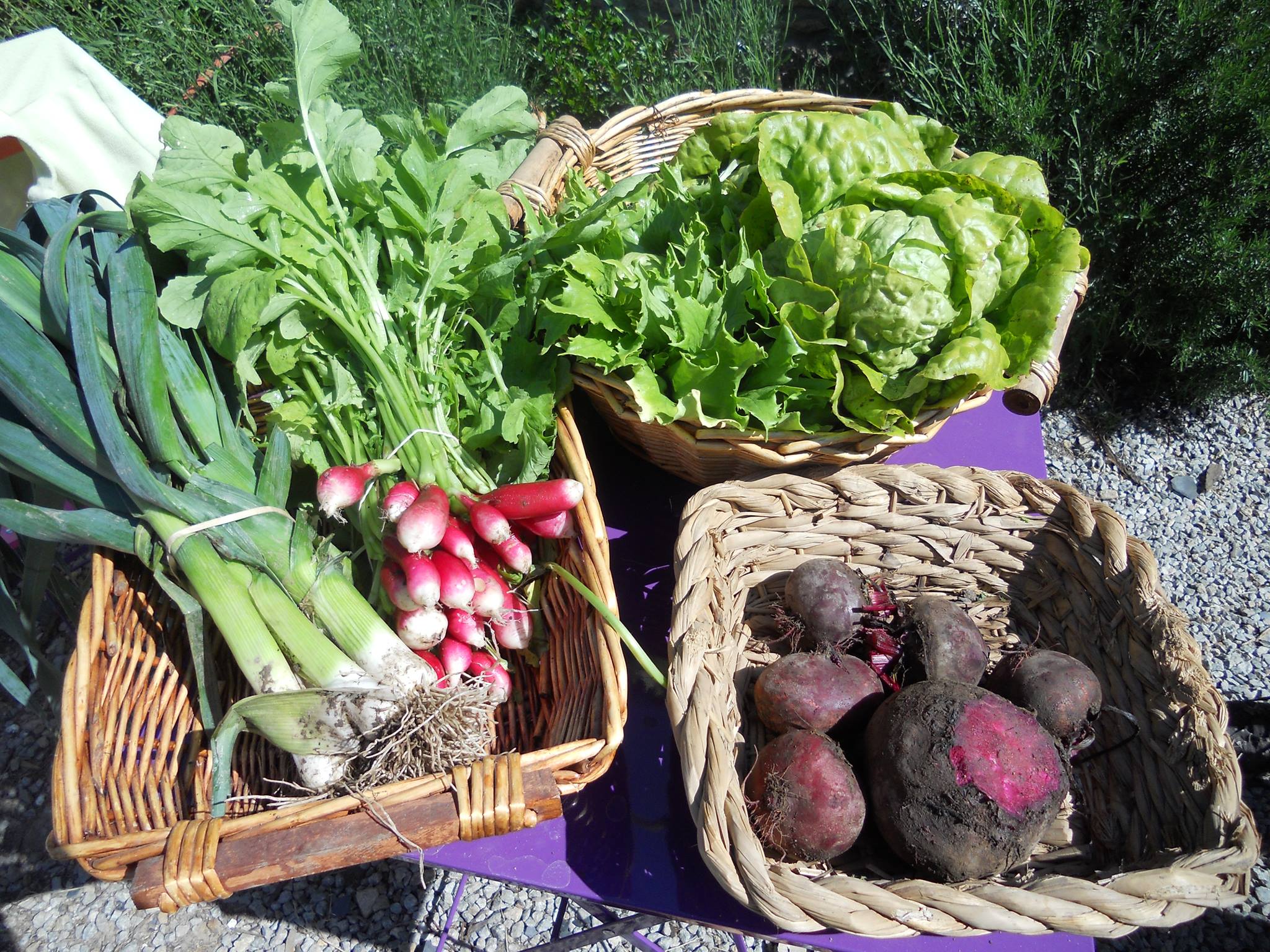 légumes ferme tascon rhuys