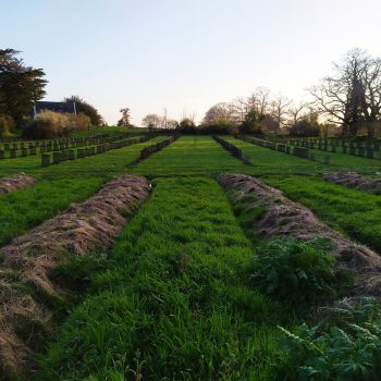 ferme ile d'arz