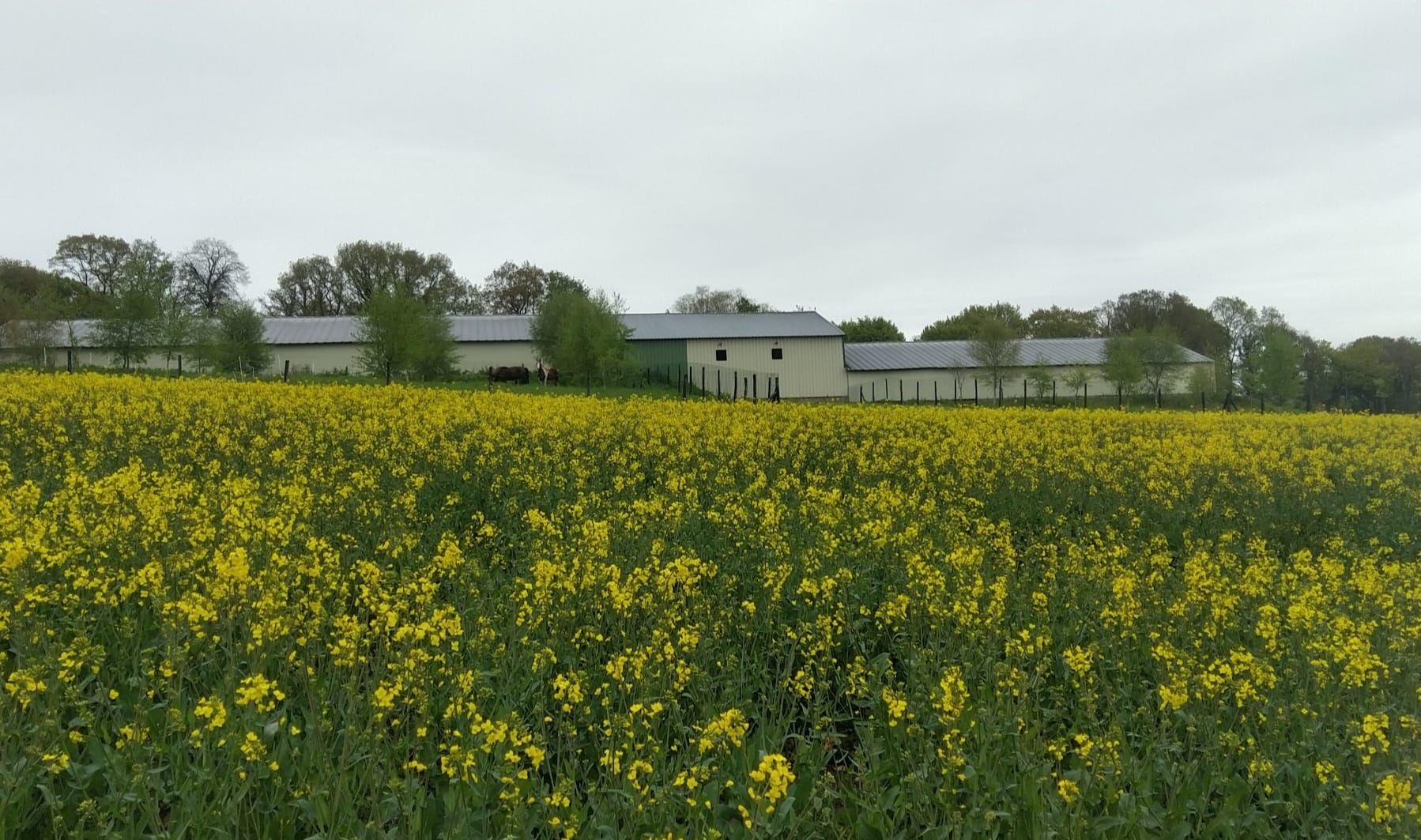 ferme le beller