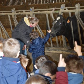 La petite Arche de la Vallée - Ferme pédagogique Morbihan