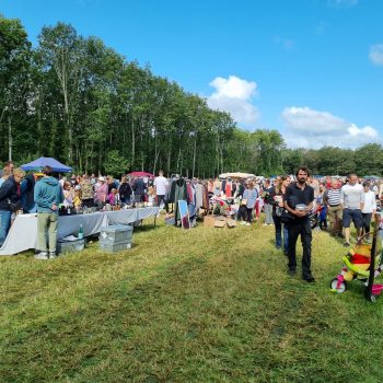 fête des menhirs languidic morbihan