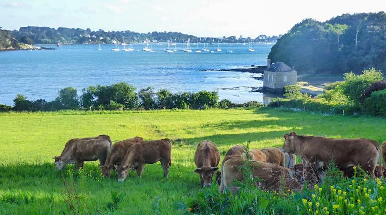 la ferme de l'étang Arradon