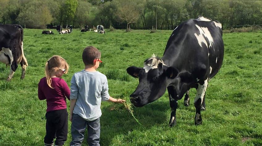 La Petite Arche de la Vallée ferme pédagogique Nivillac