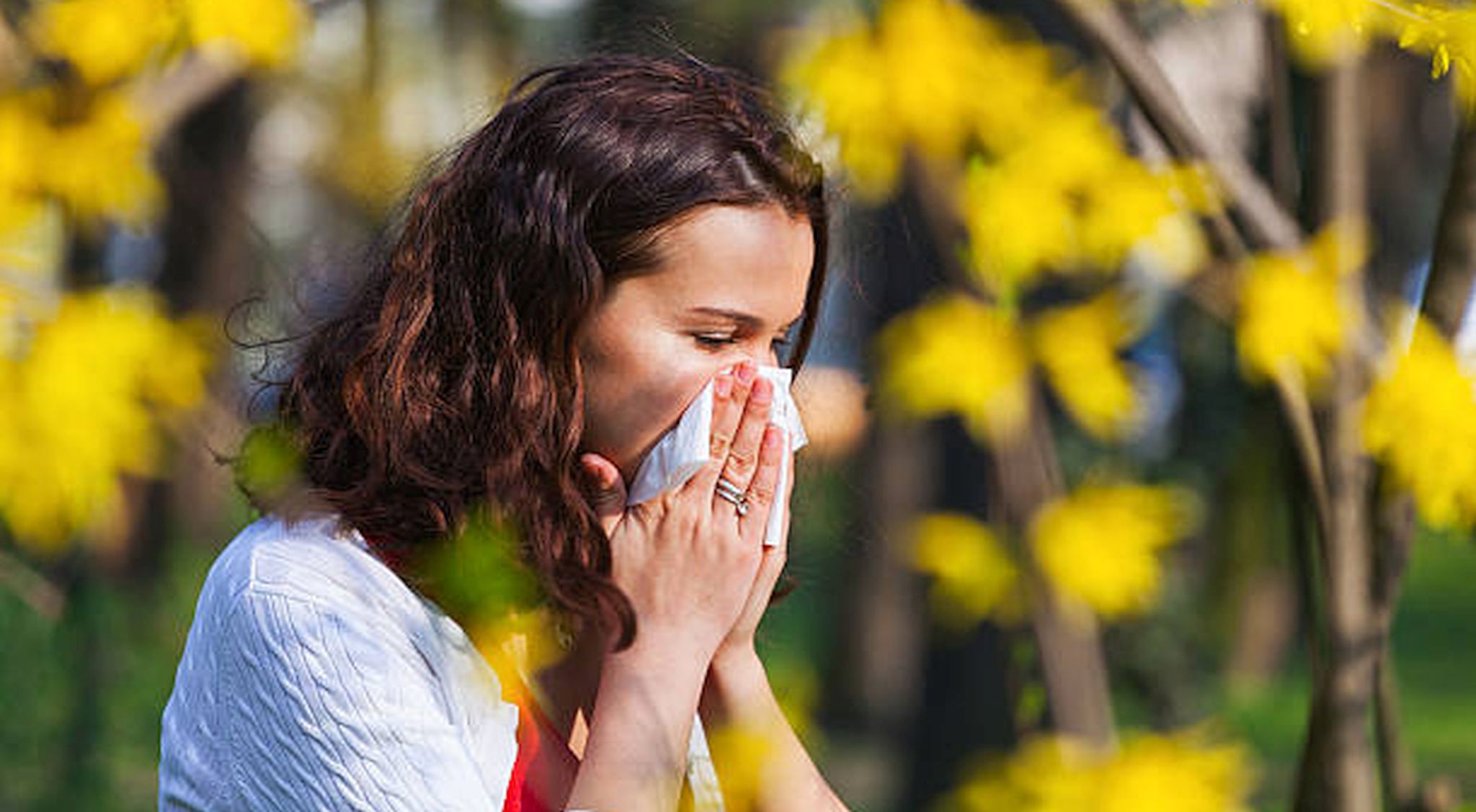 allergie pollens france