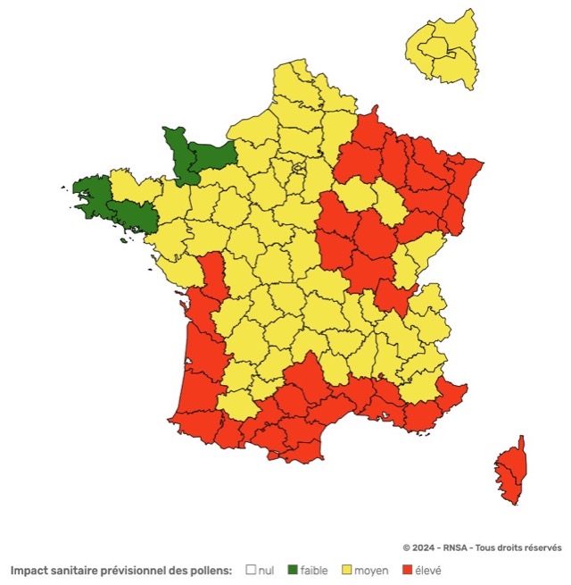 pollens allergie 2024