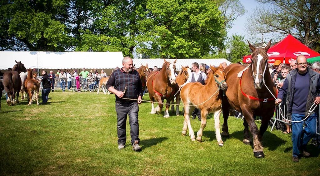 foire de lanvaux