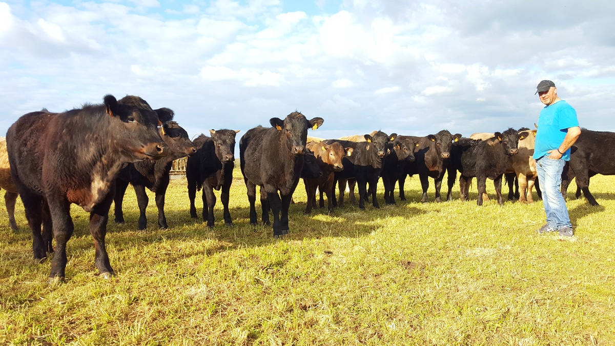 Ferme Le Montagner