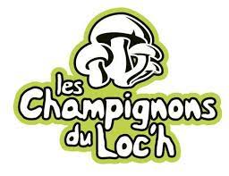 champignons bio vannes