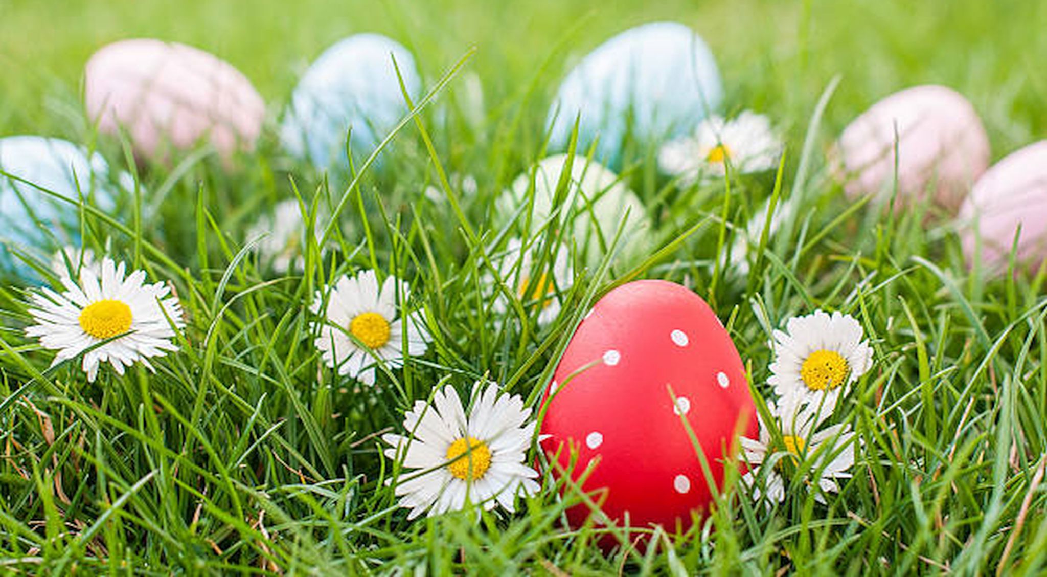 chasse aux œufs Vannes Pâques