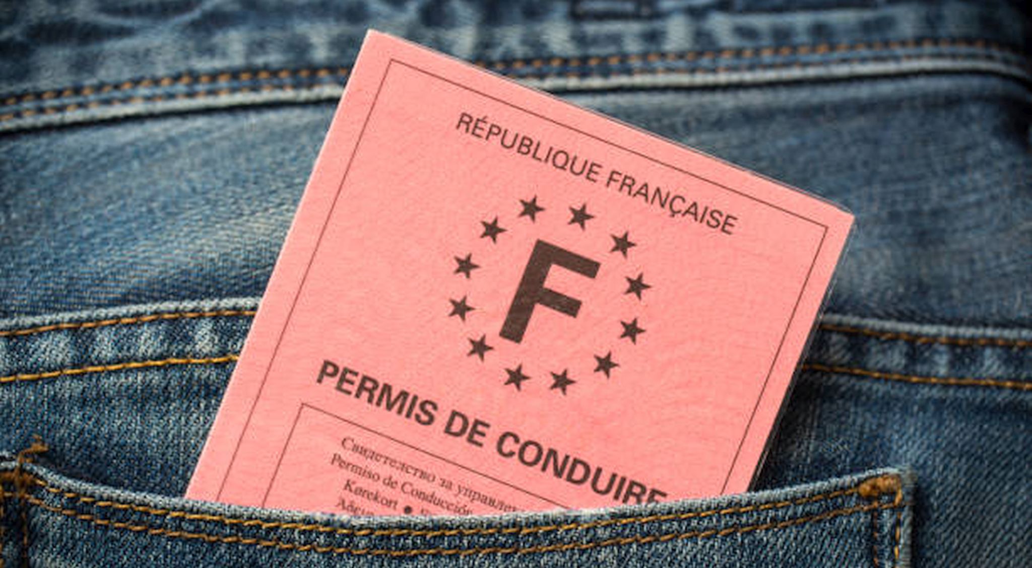 permis de conduire