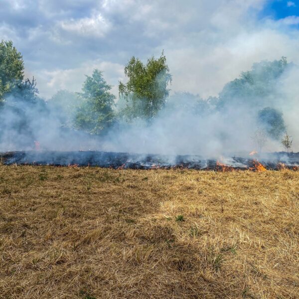 Incendie Vannes Séné Zone du Prat Liziec