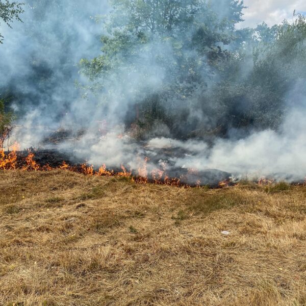 Incendie Vannes Séné Zone du Prat Liziec